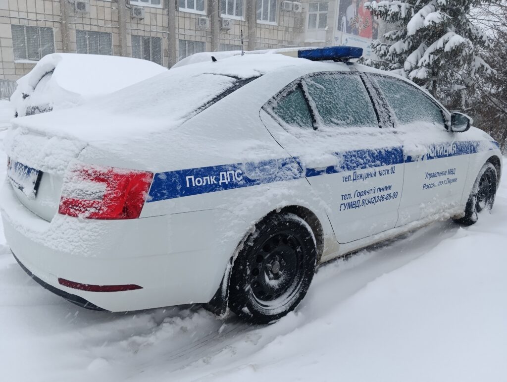    Фото: В курсе.ру Полина Анкушина