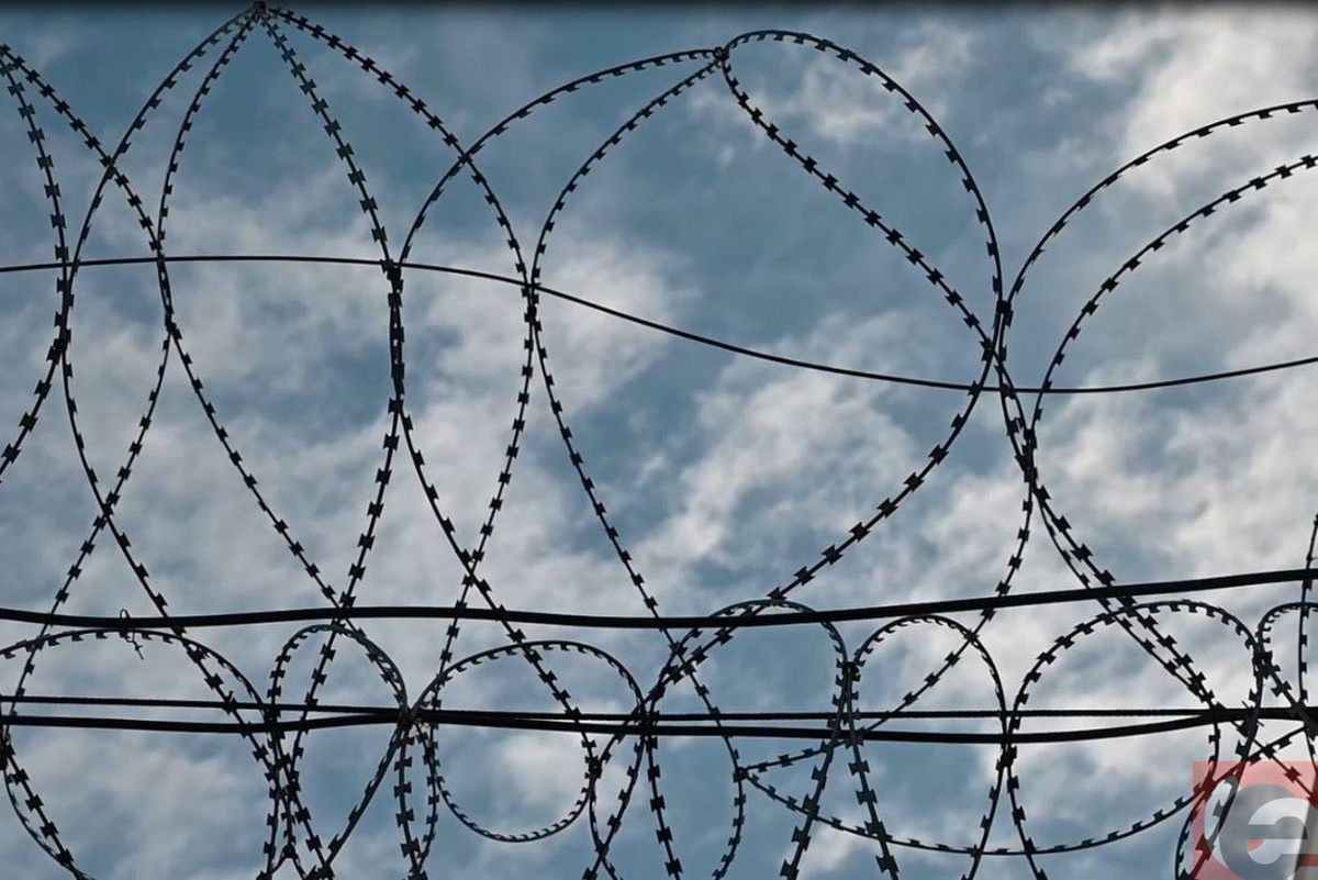    Фото: Прецедент