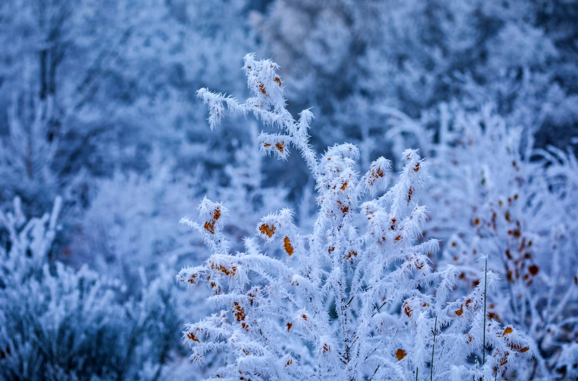    фото: фрипик