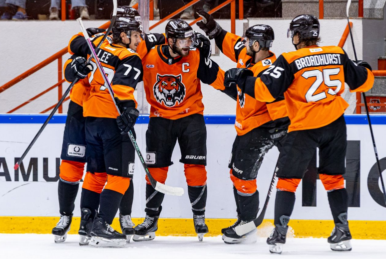 чемпионат.ком