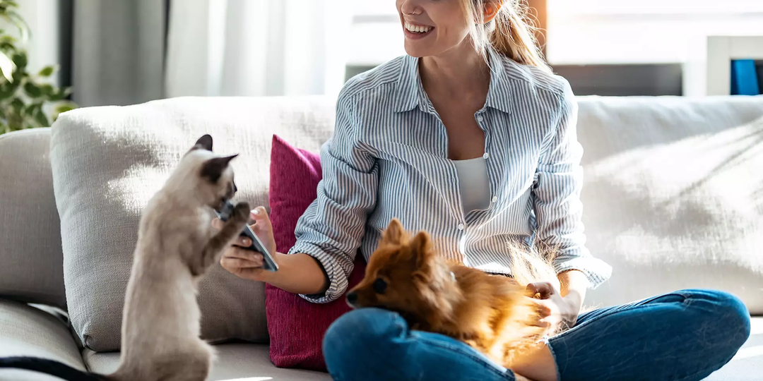 Загадайте сумму, прочитайте 1 раз молитву - придут Большие деньги.