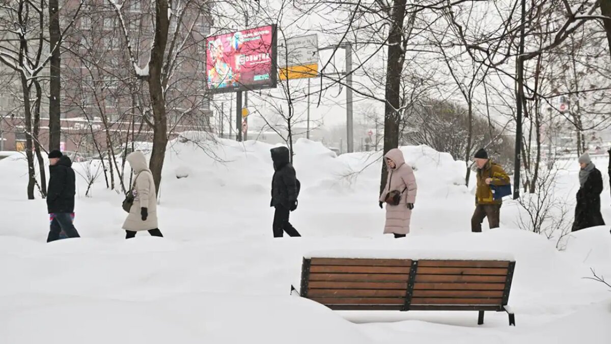     © АГН "Москва"