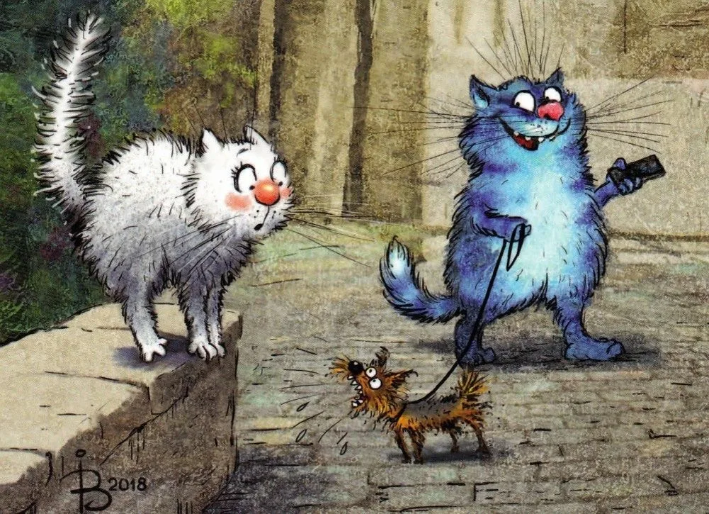 очаровательные коты Рины Зенюк