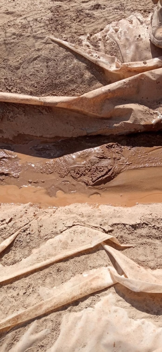 После перевода скважины на однокомпонентный полимерный буровой раствор Ezy-Bore X в циркуляционную систему и выхода на режим, бурильщики отметили: