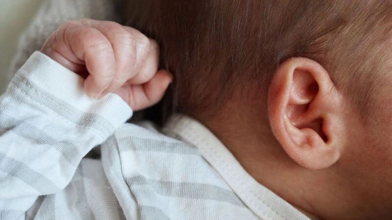    Фото: StoryTime Studio/Shutterstock/Fotodom