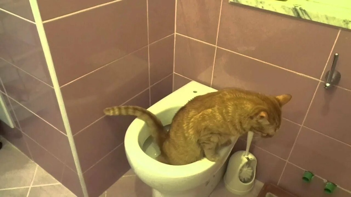 Фотография из интернета