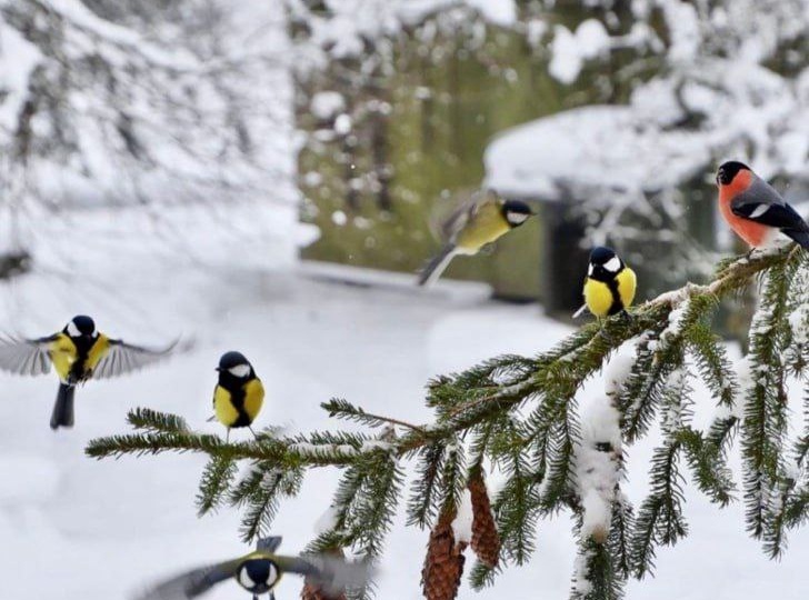 👍 Доброе утро! Пусть сегодня будут приятные моменты и добрые новости