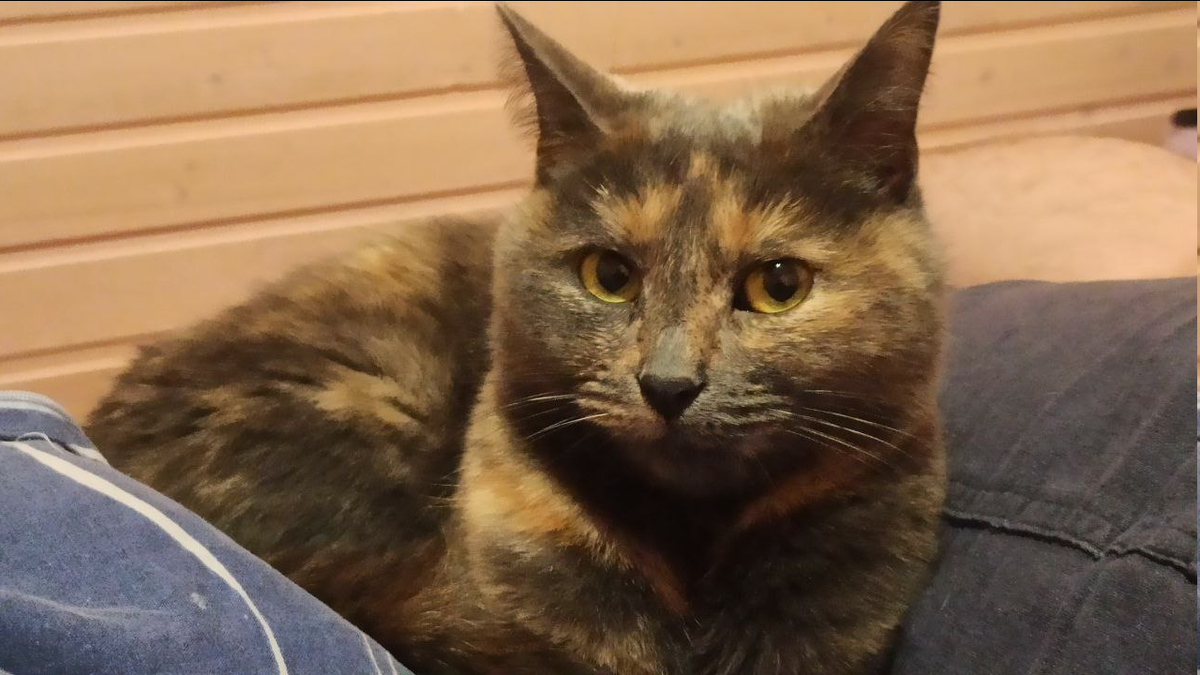 Личное фото