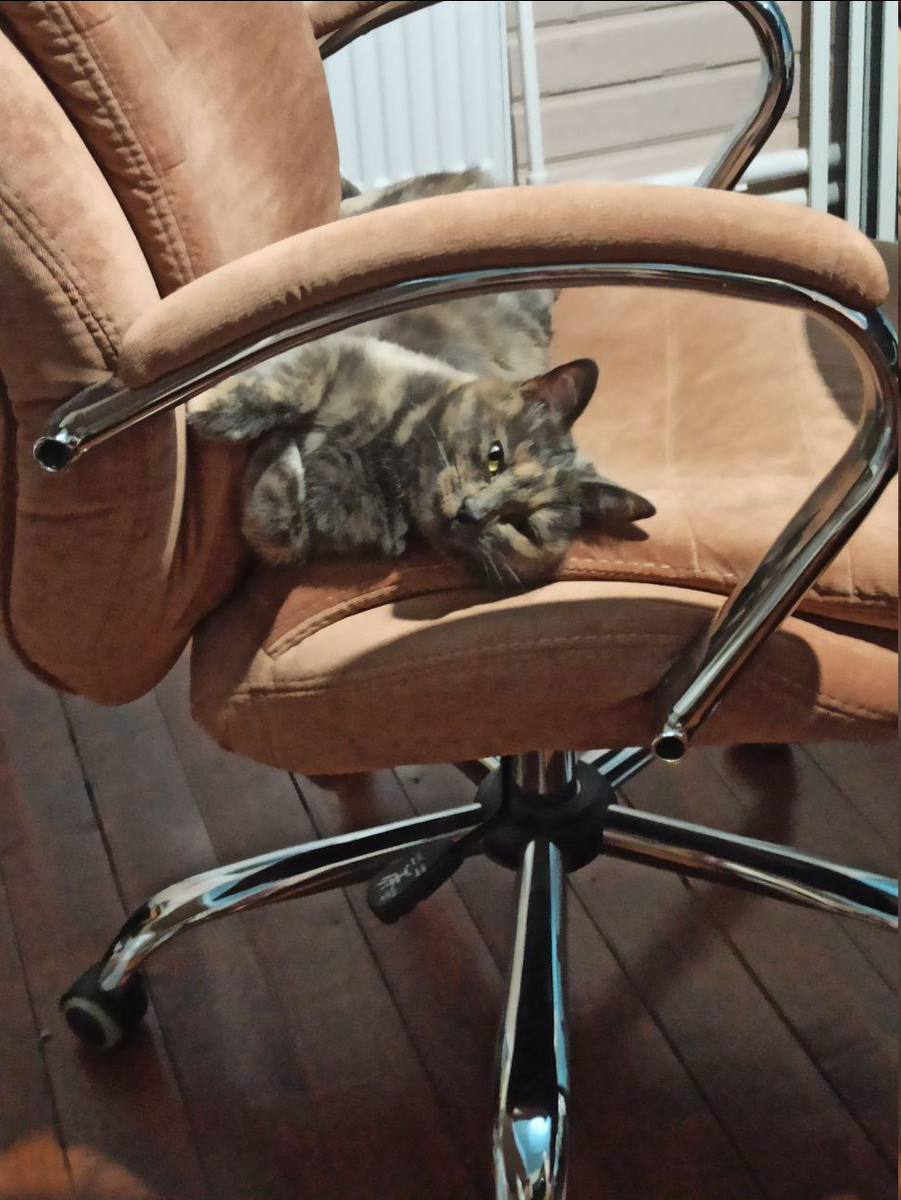 Личное фото