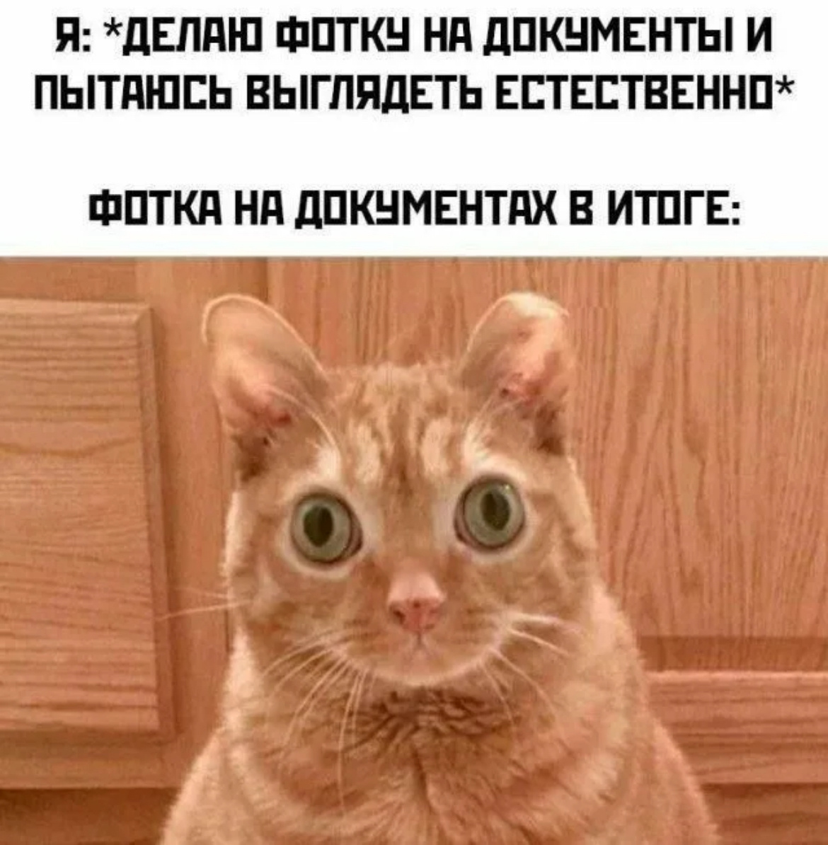 Похоже, в итоге получилось фото для розыска, а не для документов.😁