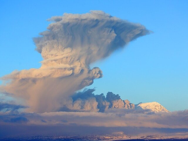    Фото: телеграм-канал "ИВиС ДВО РАН"/Юрий Демянчук