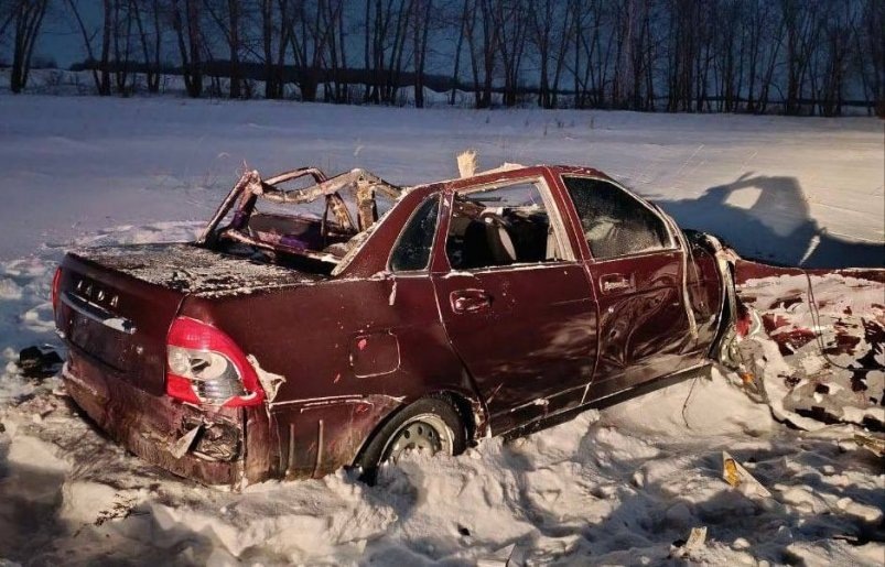 Под Омском "Приора" врезалась в лошадей, погибли двое юношей