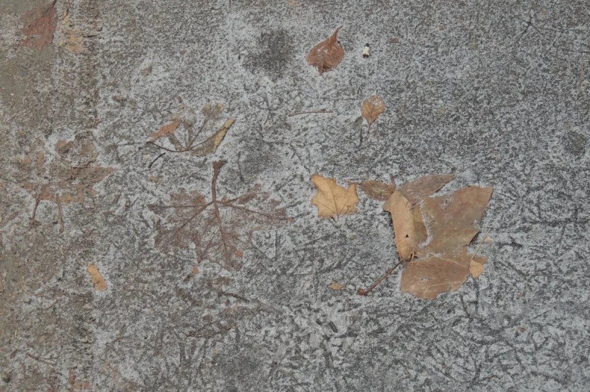    Уходящий в сторону Каспия циклон принес на Кубань снег и гололедицу