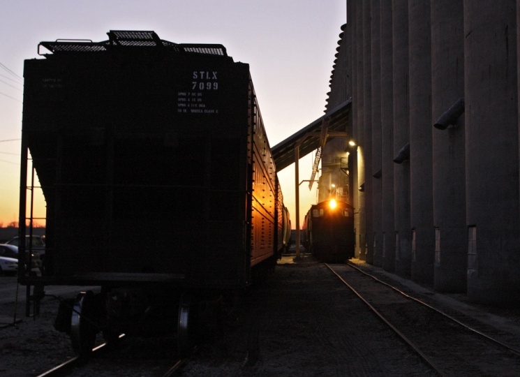 Минсельхоз хочет понизить цены на пшеницу для интервенций