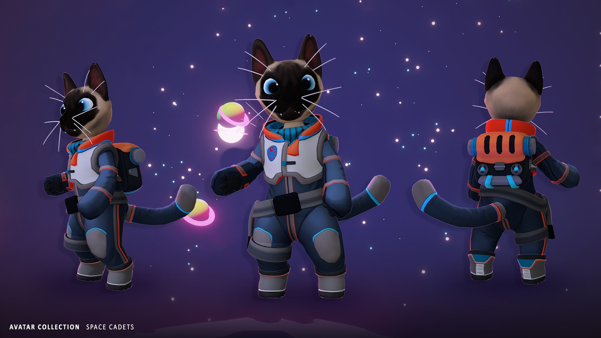 Профиль, фас и анфас