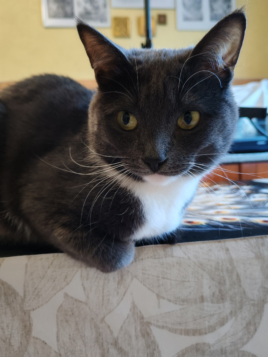 Будьте счастливы! 