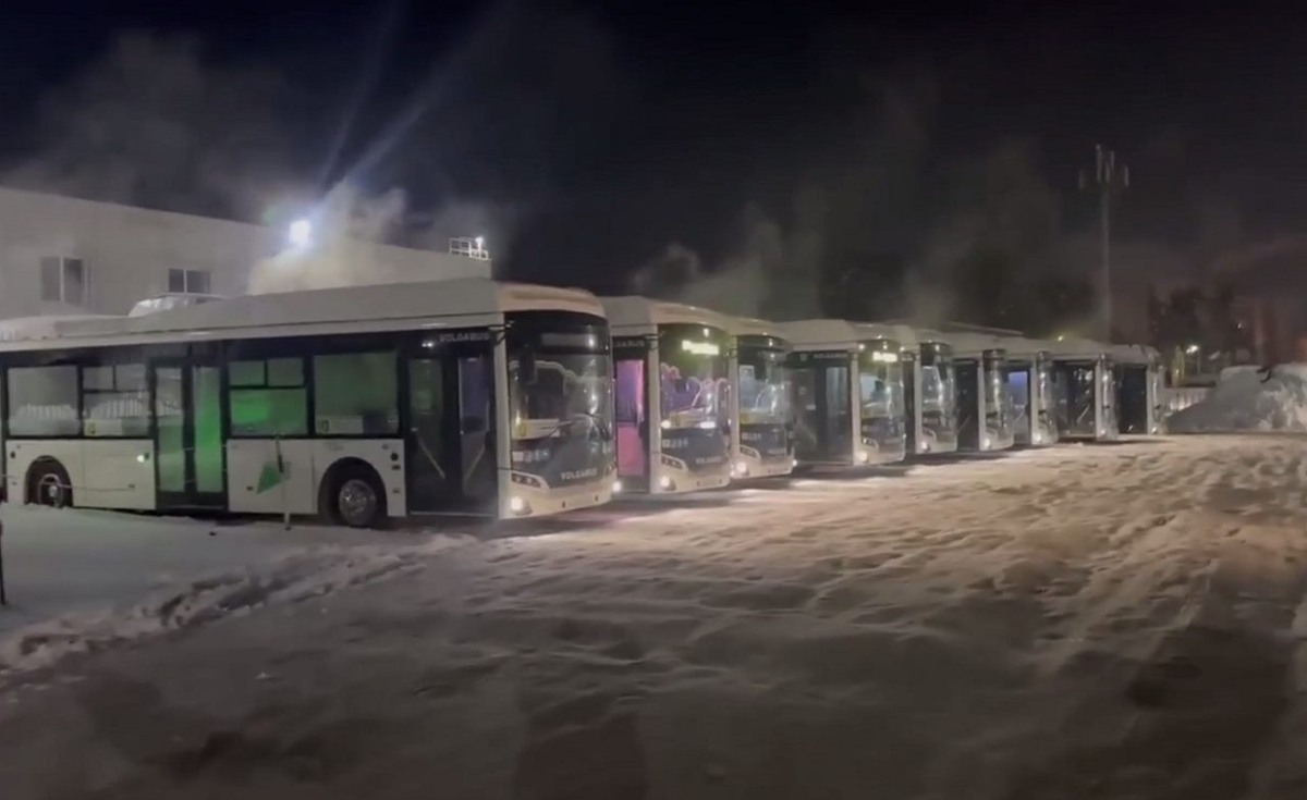     Фото: скрин видео