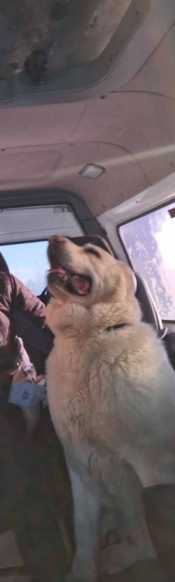    фото: © Заозерье Карелия