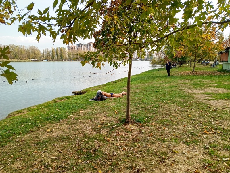 Это начало октября в одном из парков Краснодара