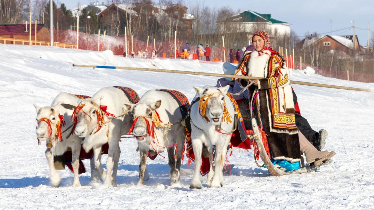    К Ямалу приближается День оленевода. Фото: Фёдор Воронов / «Ямал-Медиа»