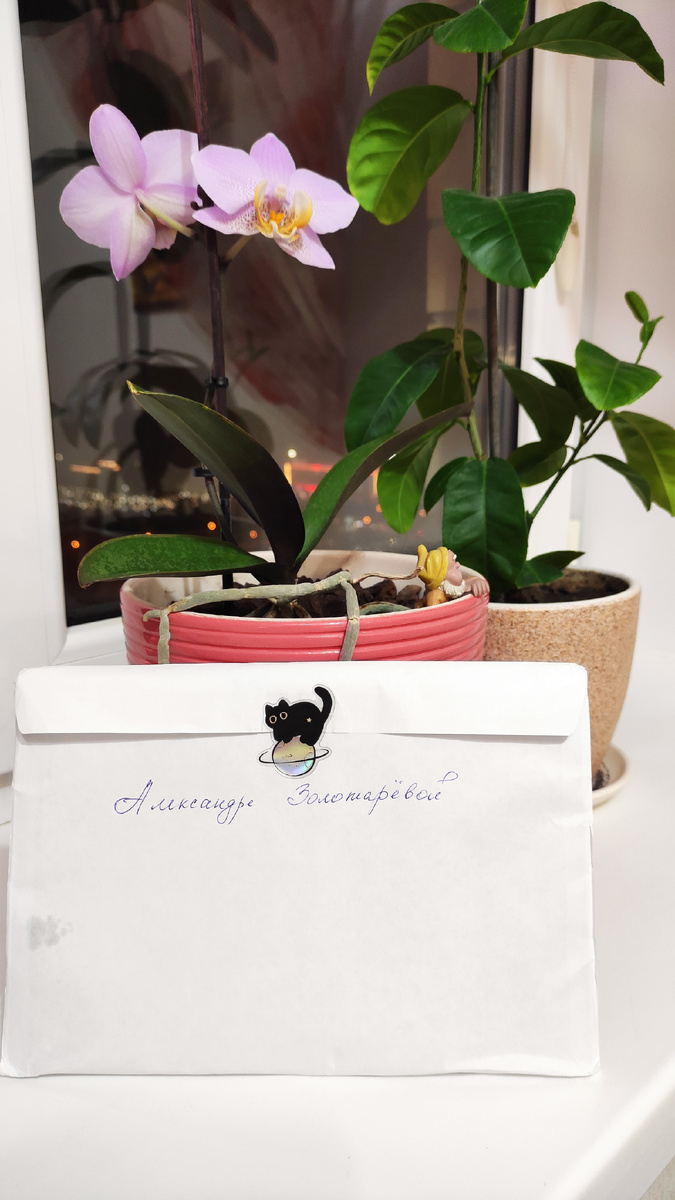 Вот она - долгожданная! 😁