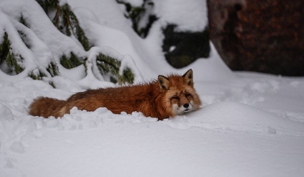 фото: РИА Новости/Евгений Одиноков