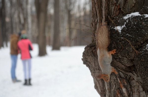 РИА Новости/Кирилл Каллиников