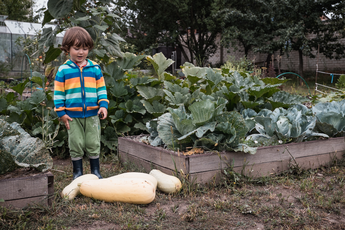 В свои грядки торф я начала добавлять года три назад и первый год не без ошибок