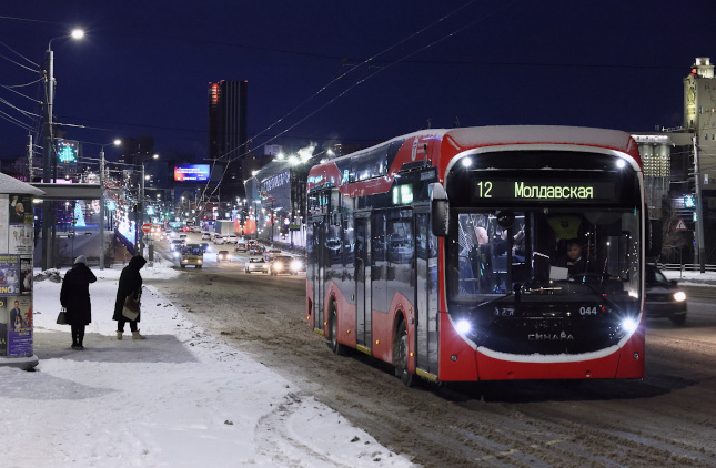 Фото: Дмитрий Куткин («Вечерний Челябинск»)