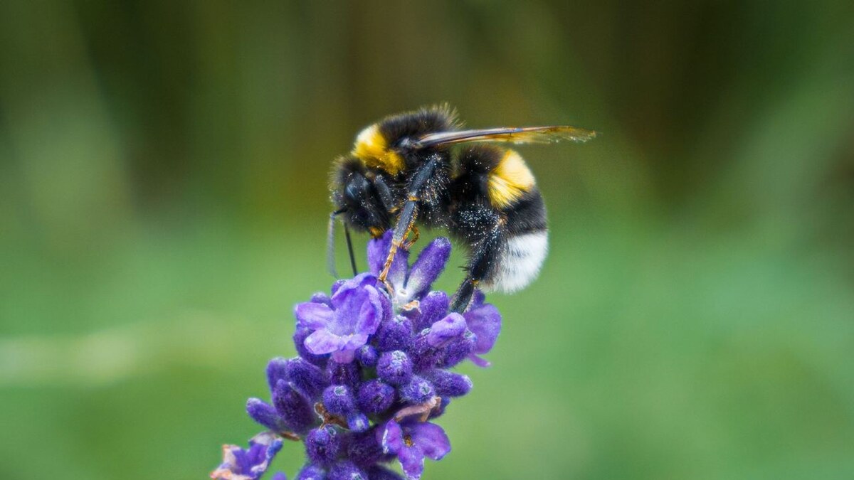 Фото: Freepik/wirestock