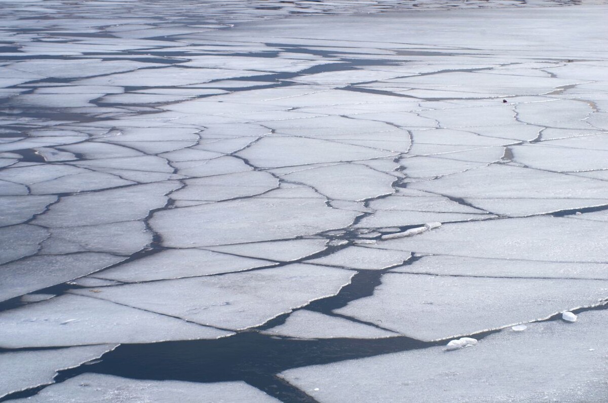    Фото: Андрей Недоступ