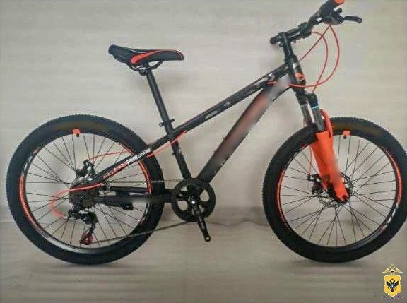    Фото: Главное управление МВД России по Херсонской области