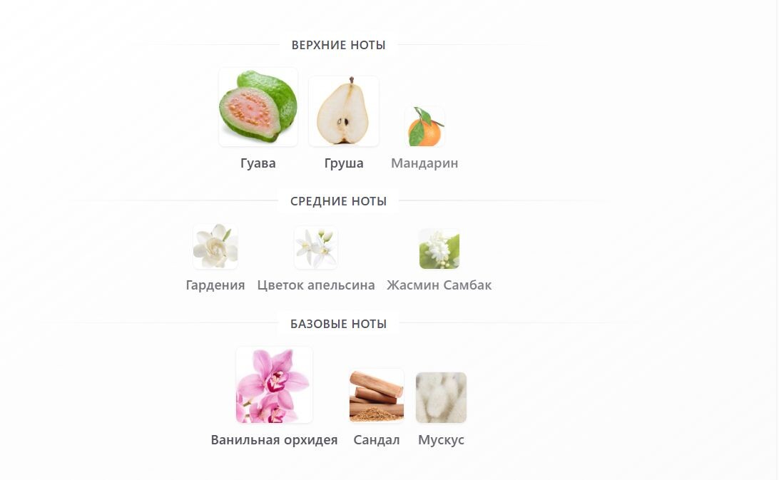 fragrantica.ru