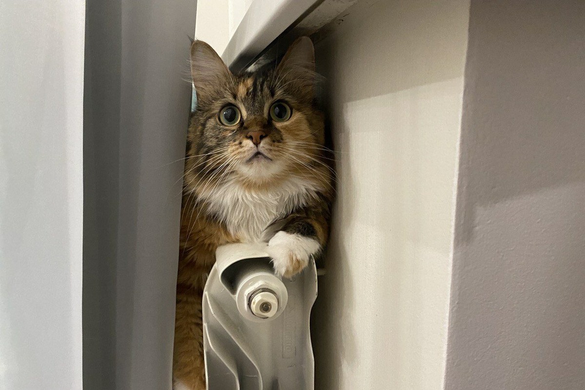    Фото: smolnarod.ru