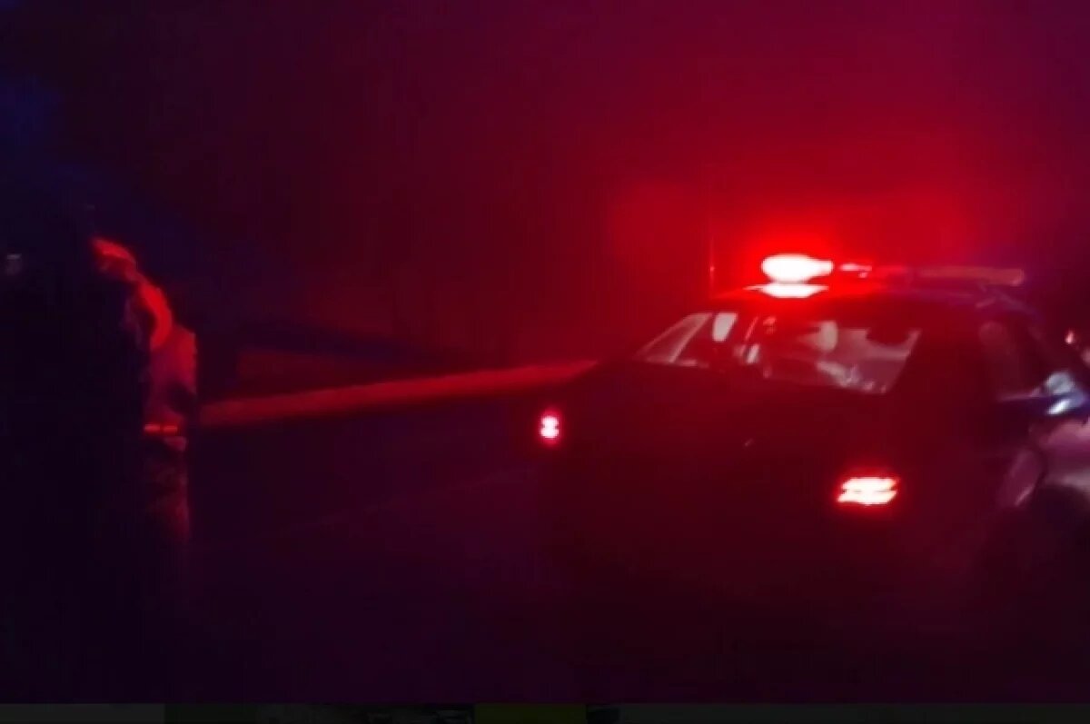    На трассе Оренбург-Казань в ДТП погибли два человека