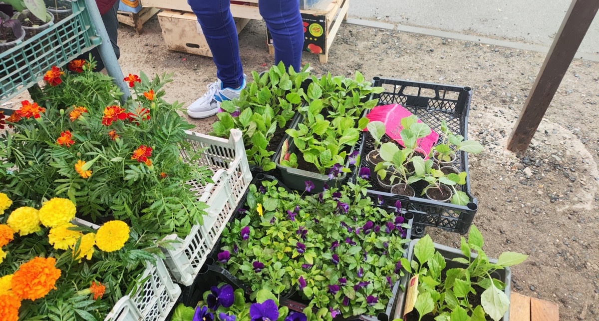    Фото: ПроГород