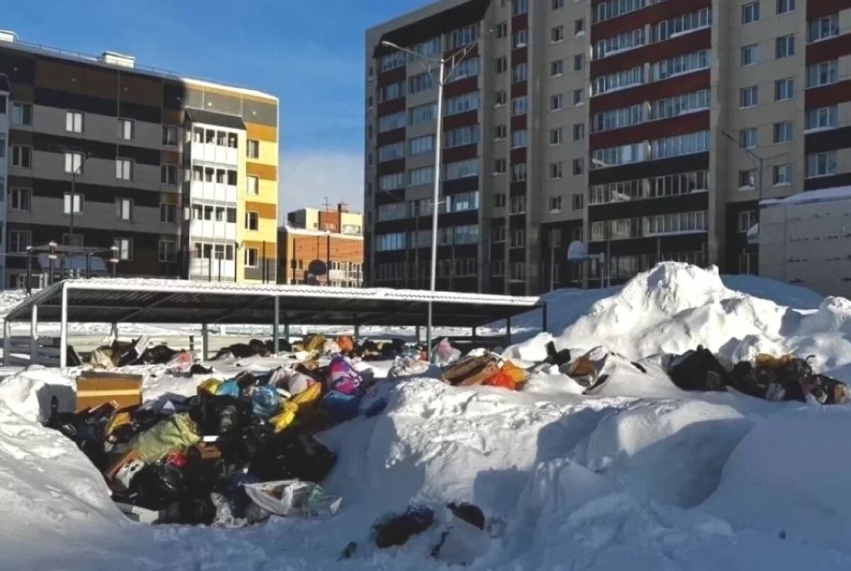    В Петропавловске запустили онлайн-карту уборки контейнерных площадок
