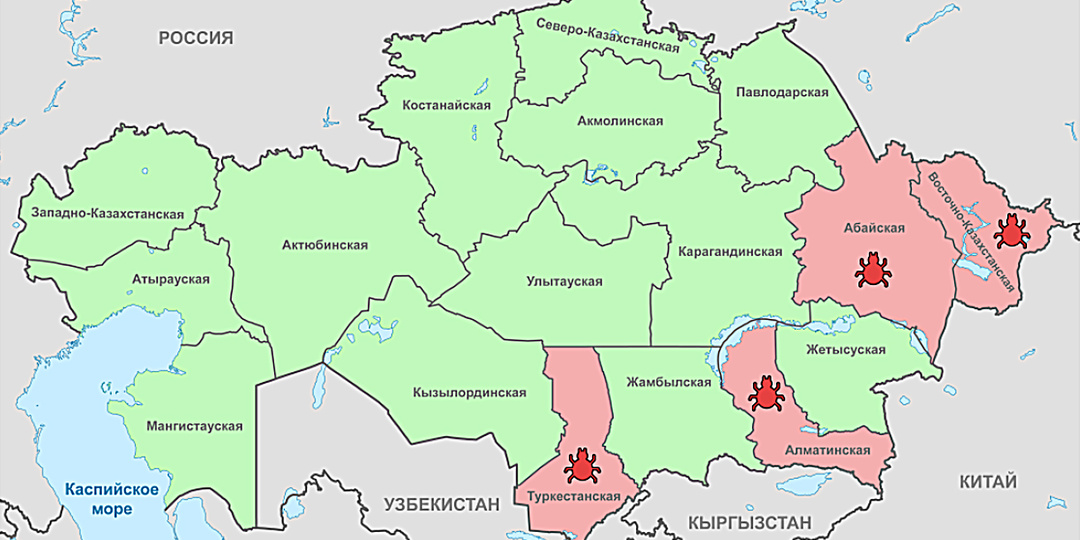 Tropilaelaps в Казахстане: первое подтверждение заражения на пасеках.