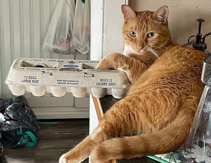 Нужно ли шантажировать работодателя увольнением?