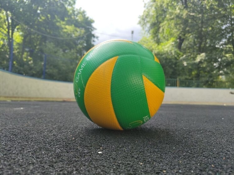     Следующий домашний матч «Зенит» под руководством Владимира Алекно проведёт 10 февраля против «Газпром-Югры». Фото из архива "МК в Питере"