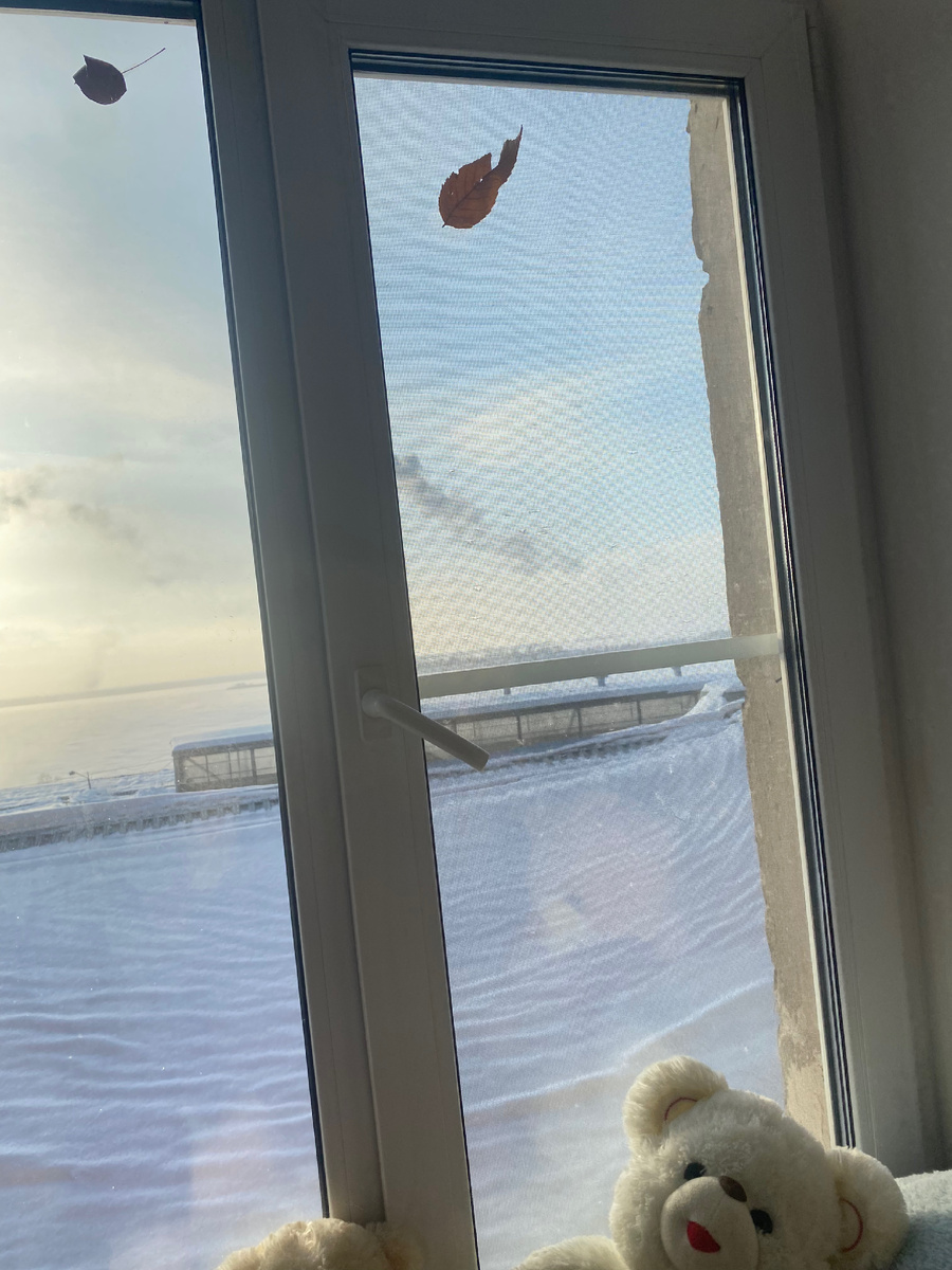 хорошо смотреть в окно, а по Волге бегать кто будет? 😅