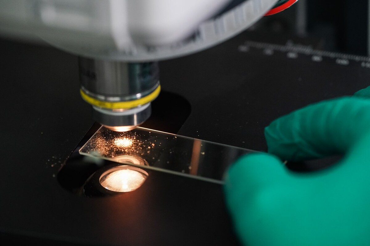     / Источник: © ИЗВЕСТИЯ/Сергей Лантюхов