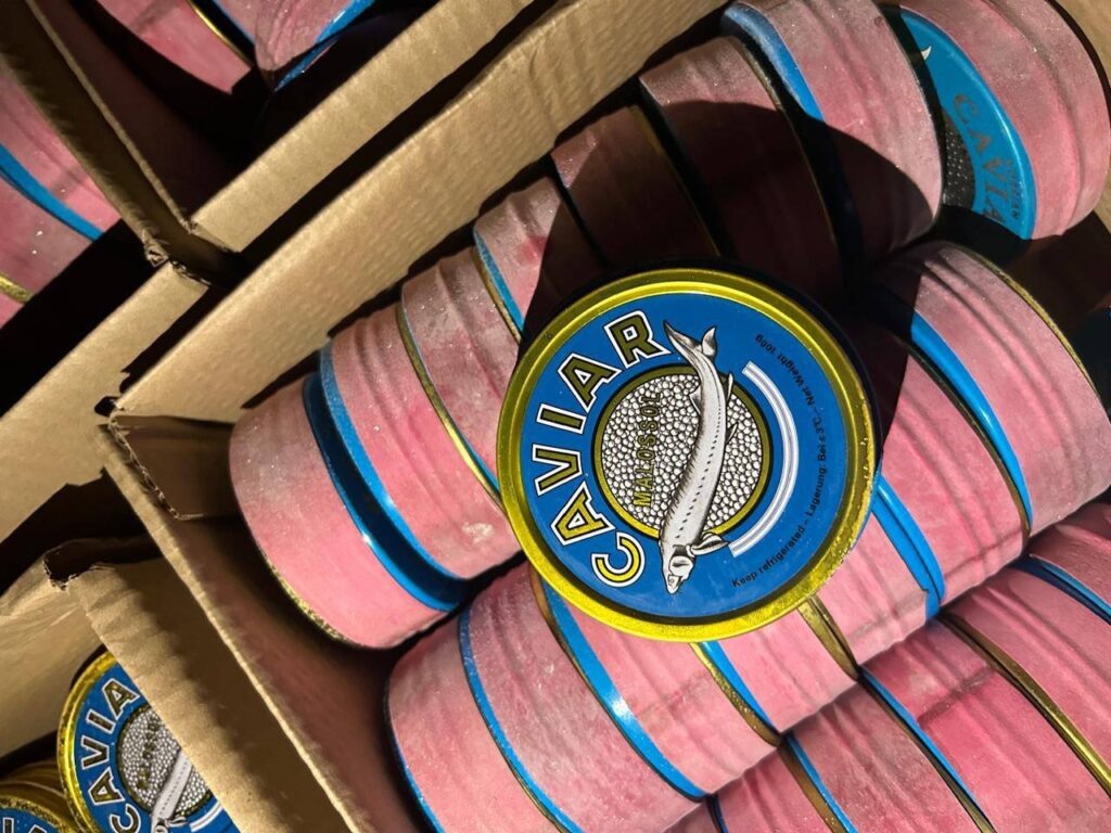    Фото: УФСБ России по Пермскому краю Полина Анкушина