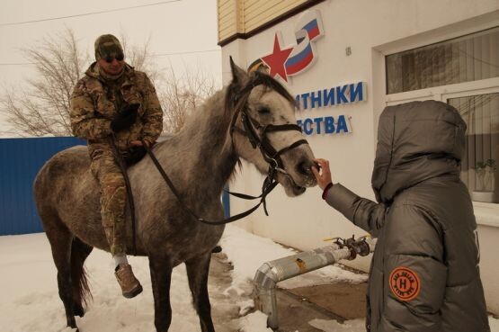 Евгений Бельчич приехал на интервью в редакцию на серой лошади, чем очень удивил журналистов. / Фото А. Толстых