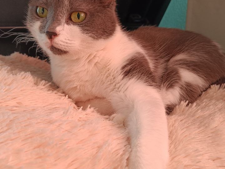 Шуня, услышав наш утренний разговор о морозе