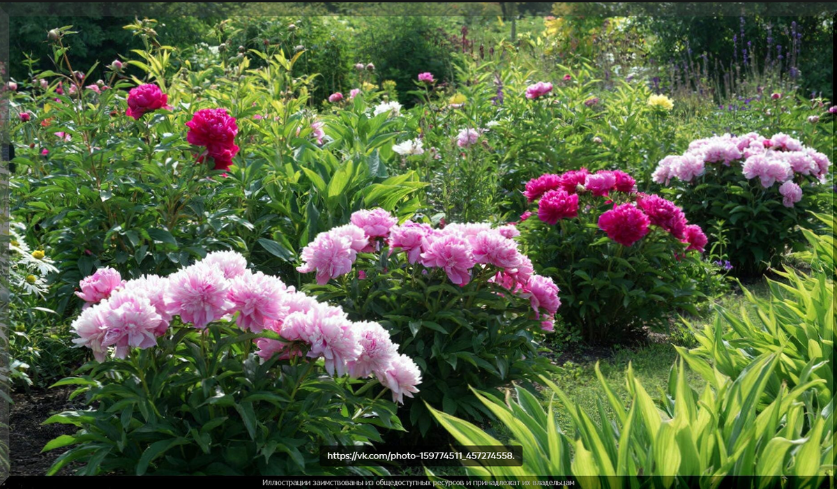 Фотография, иллюстрирующая статью 