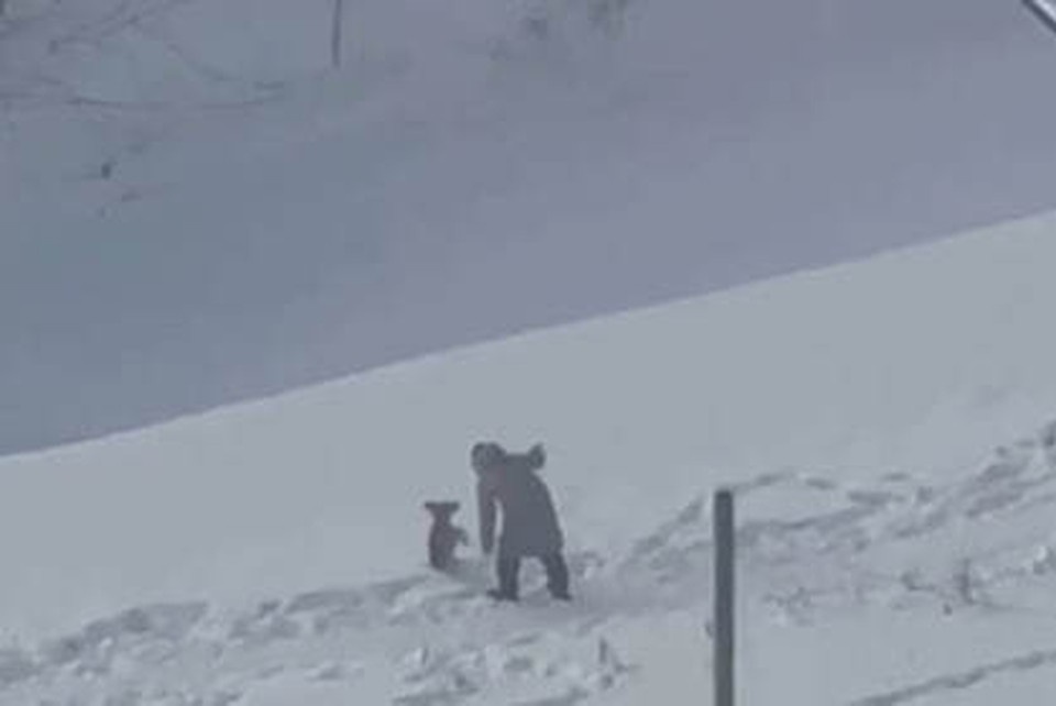    Фото: кадр видео.