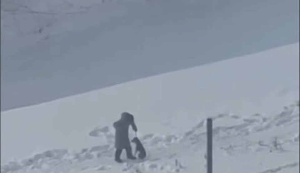    Фото: кадр видео.