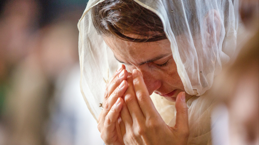    Фото: © РИА Новости/Илья Тимин; 5-tv.ru