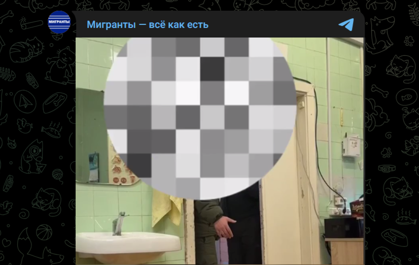 Фото: Telegram-канал "Мигранты - всё как есть"